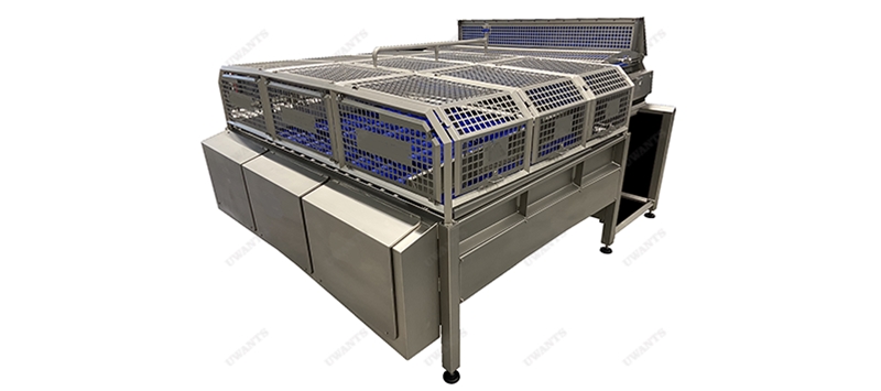 Peeling and grading machine